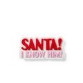 Bogg Bit  - Santa! I Know Him!